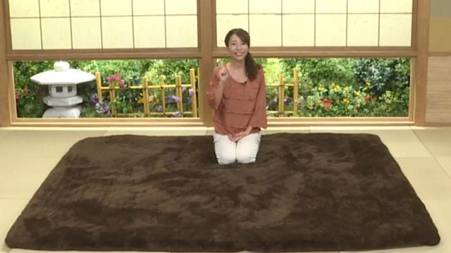 モリリン インテリア あったか6層ラグハイパー用カバー 長方形 200