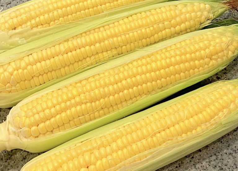 とうもろこし（スイートコーン） | 枝豆の通販は岩崎ファーム枝豆の