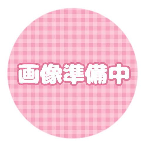 サラブレッドコレクション 馬服コスチューム ぬいぐるみ ゴールド