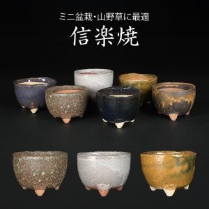 盆栽鉢 山野草鉢 「信楽焼楽風ミニ鉢8点セット」 植木鉢 陶器 2号 7cm