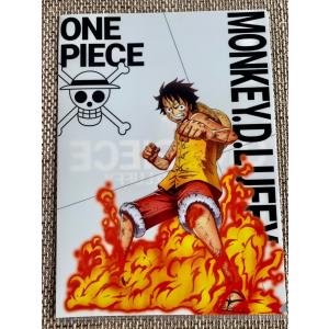 ☆ ONE PIECE ワンピース 輩缶バッジ やから缶バッジ 第24弾 WORLD