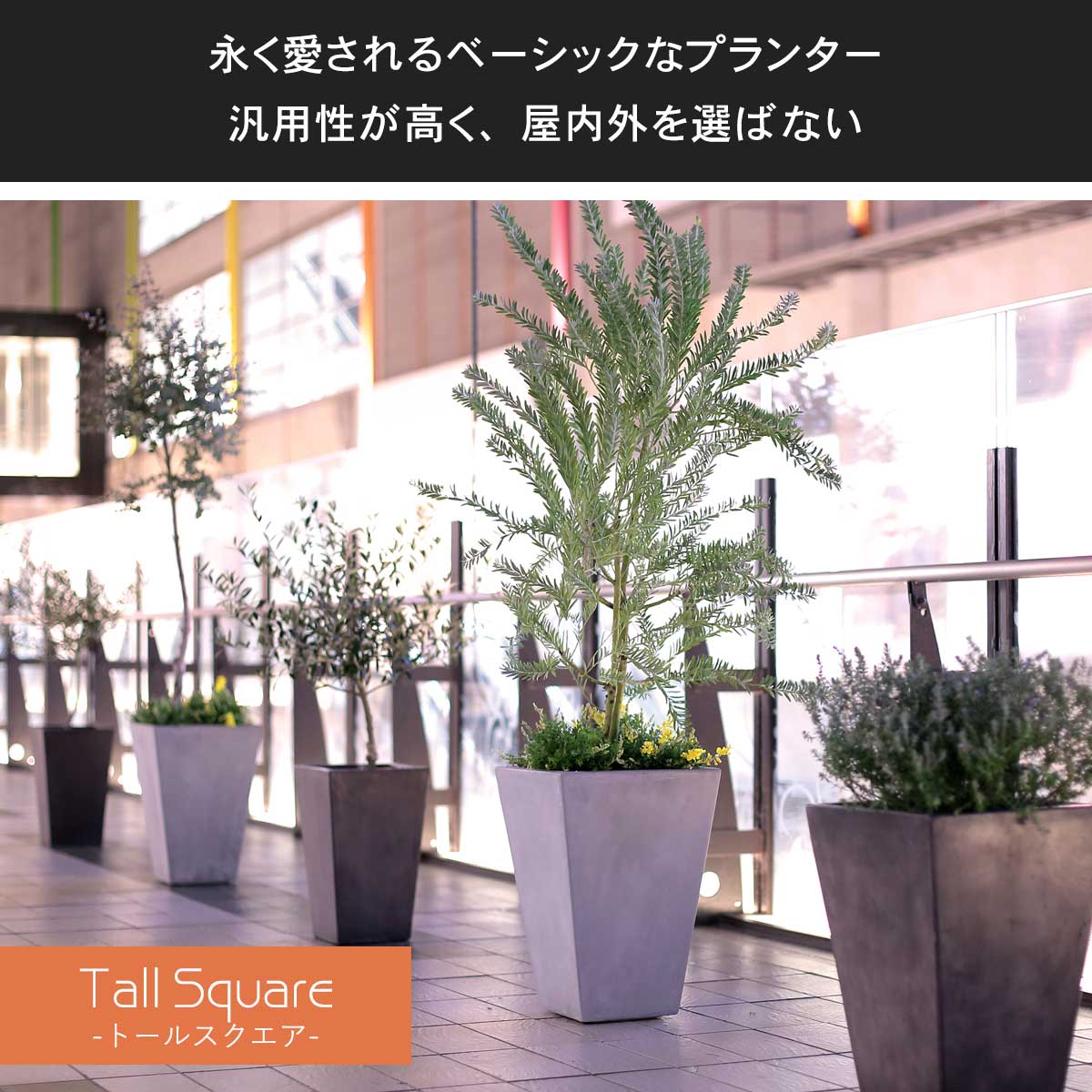 大型 15号鉢対応 鉢カバー 「 クレイポット（CLAYPOT） トールスクエア