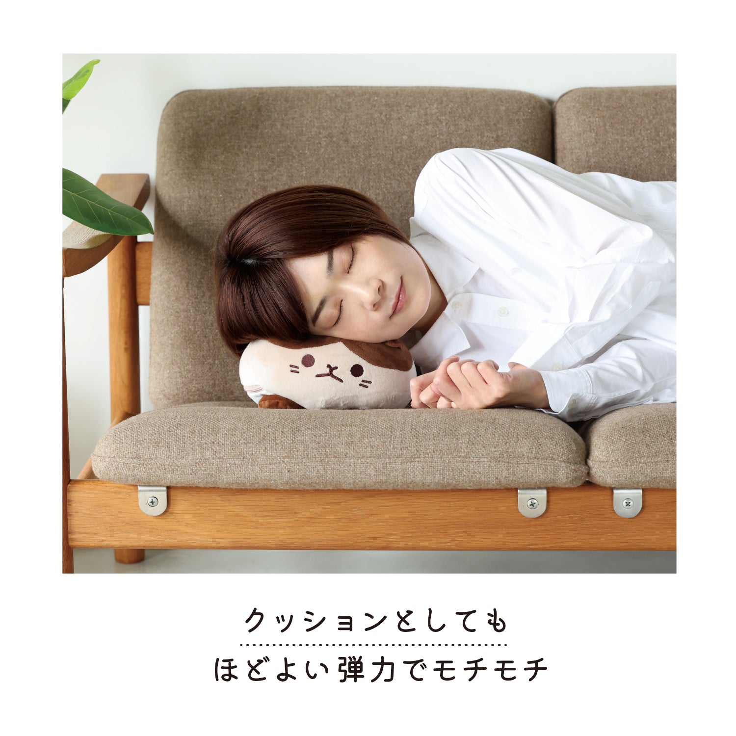 にゃんトレストレッチ ごろにゃー ｜ 暮らしタス【公式】