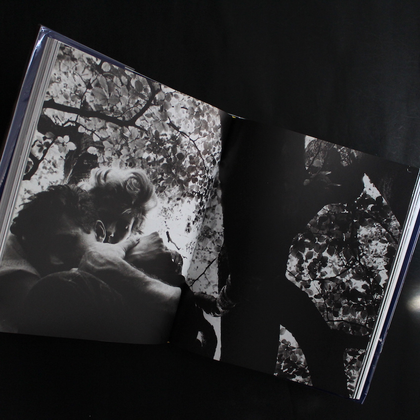 I, Will Mcbride - Will Mcbride