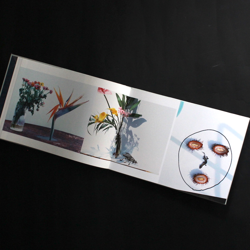 花人生 / Flower - Life（Signed） - 荒木 経惟 / Nobuyoshi Araki