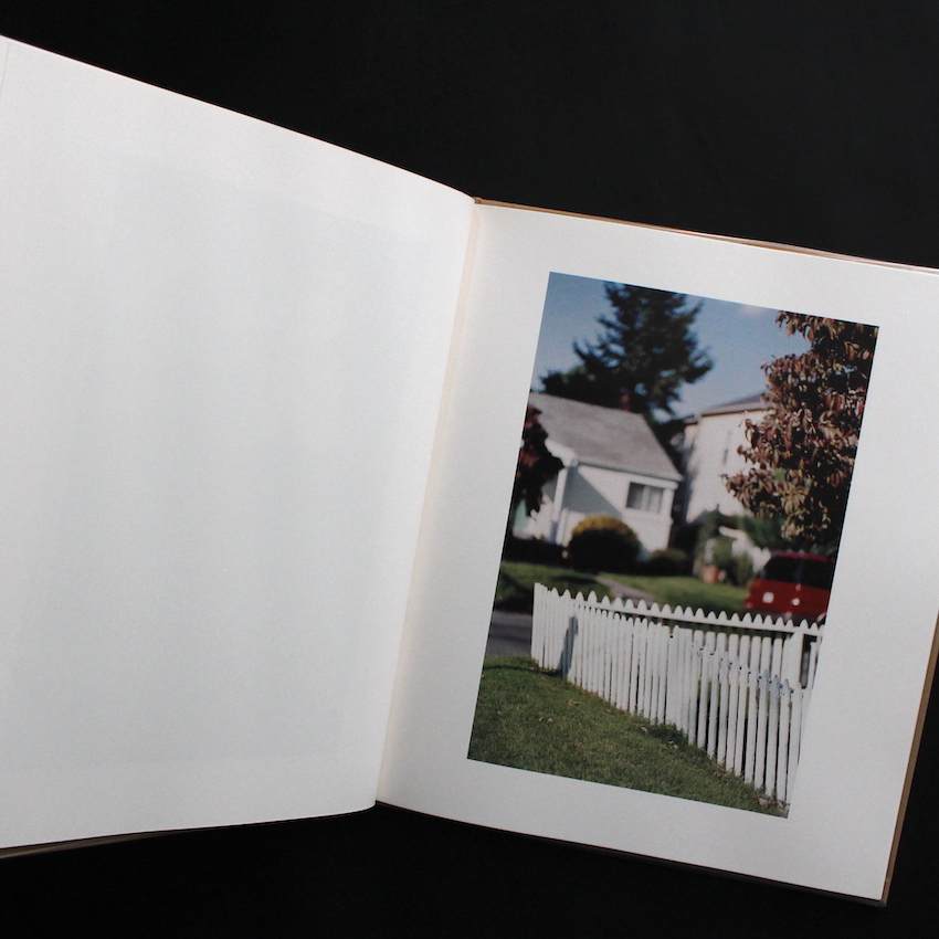 Between Maple and Chestnut - Terri Weifenbach