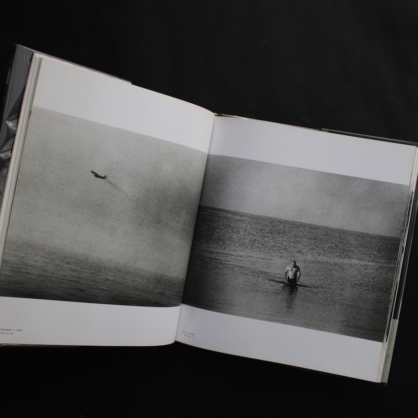 Stray Dog - 森山 大道 / Daido Moriyama