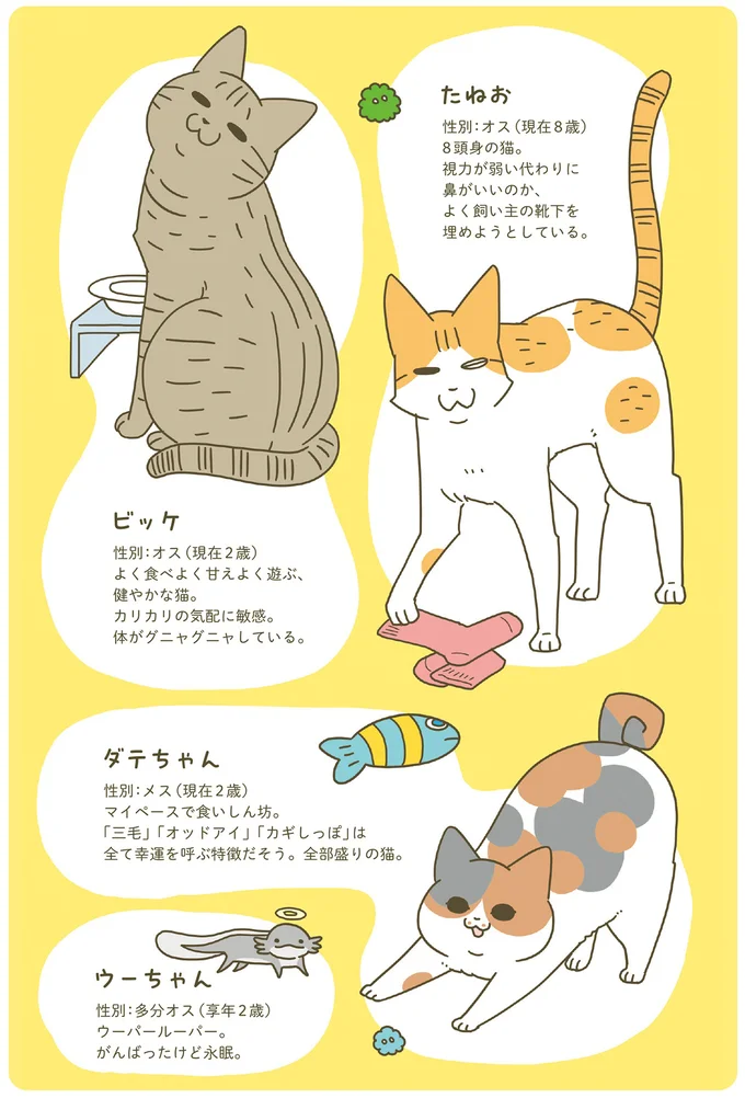 うちの猫がまた変なことしてる。8』 | 毎日が発見ネット