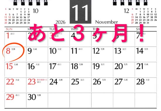 行政書士に3ヶ月で最短合格！独学は無理？短期講座おすすめ3選 | モア