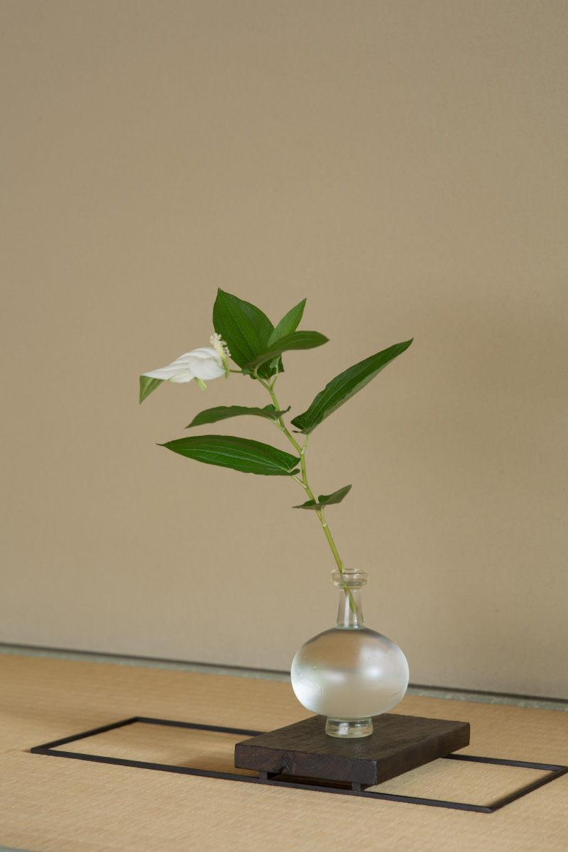 Feature | 瀬沼健太郎 | panorama