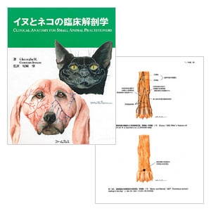 イヌとネコの臨床解剖学｜書籍・模型・セミナー｜動物医療関係者の通販