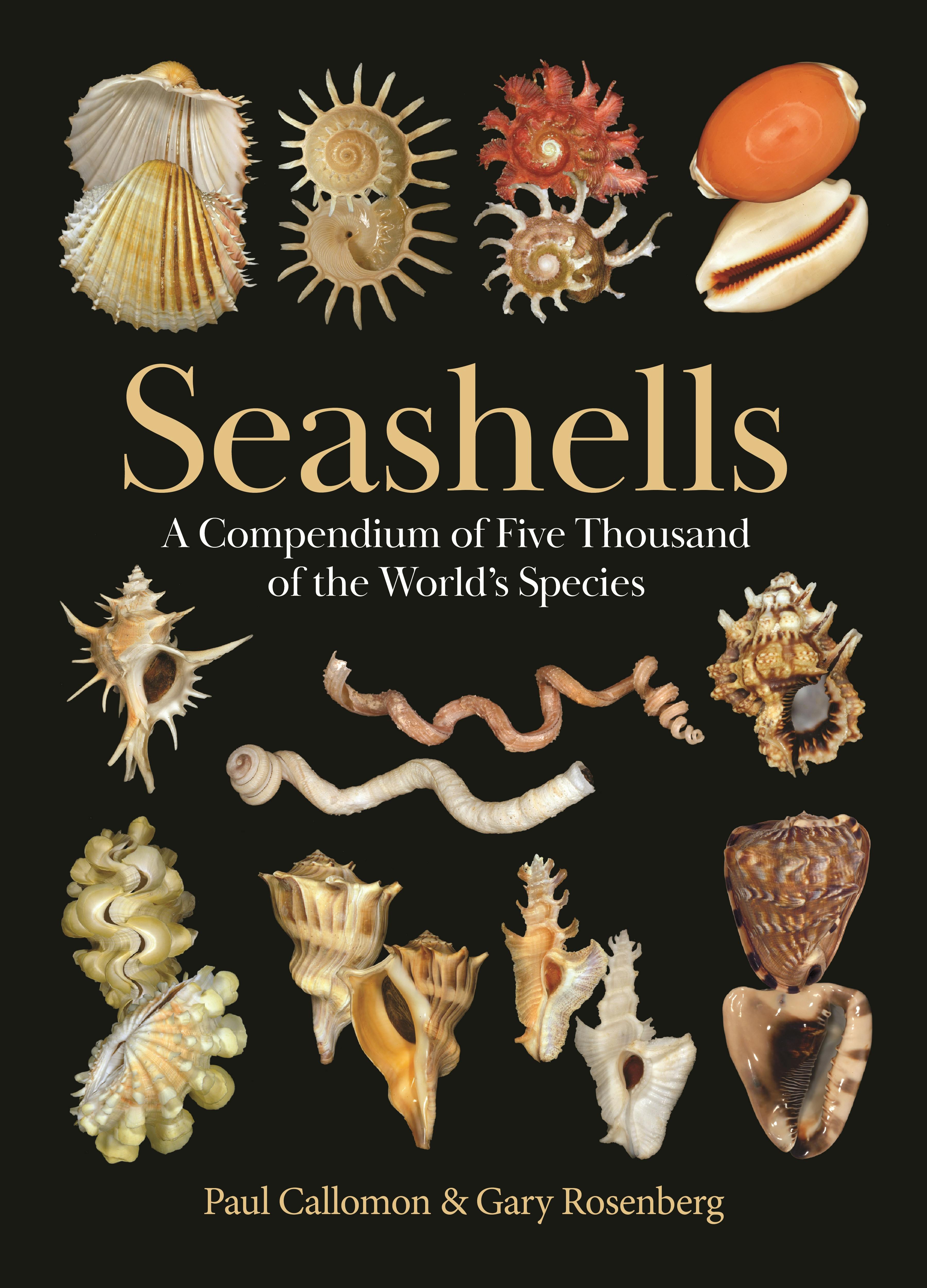 Seashells | Princeton University Press