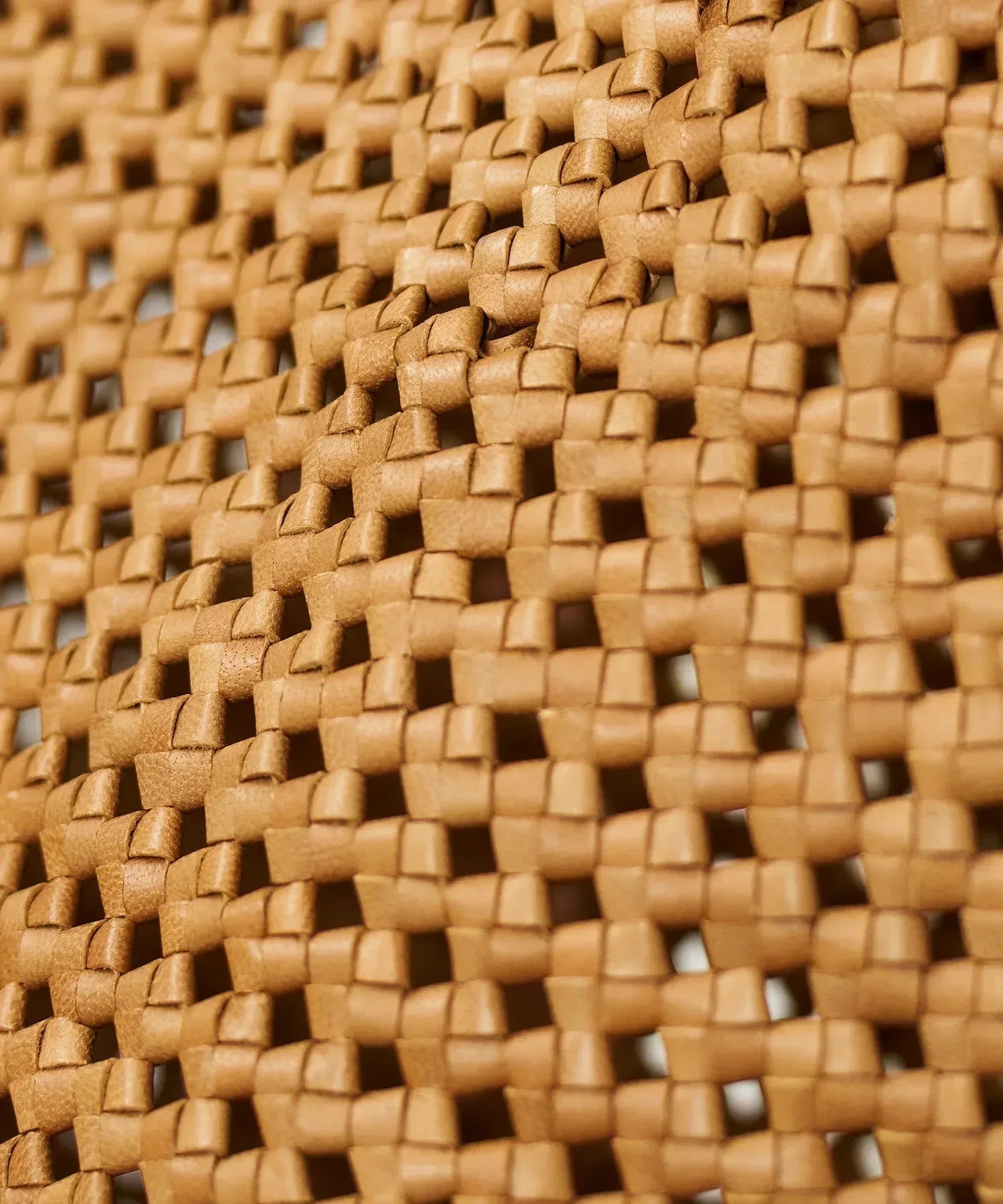 ラグジュアリーなやぎ革メッシュトートバッグ - 春夏限定の涼しげな籠