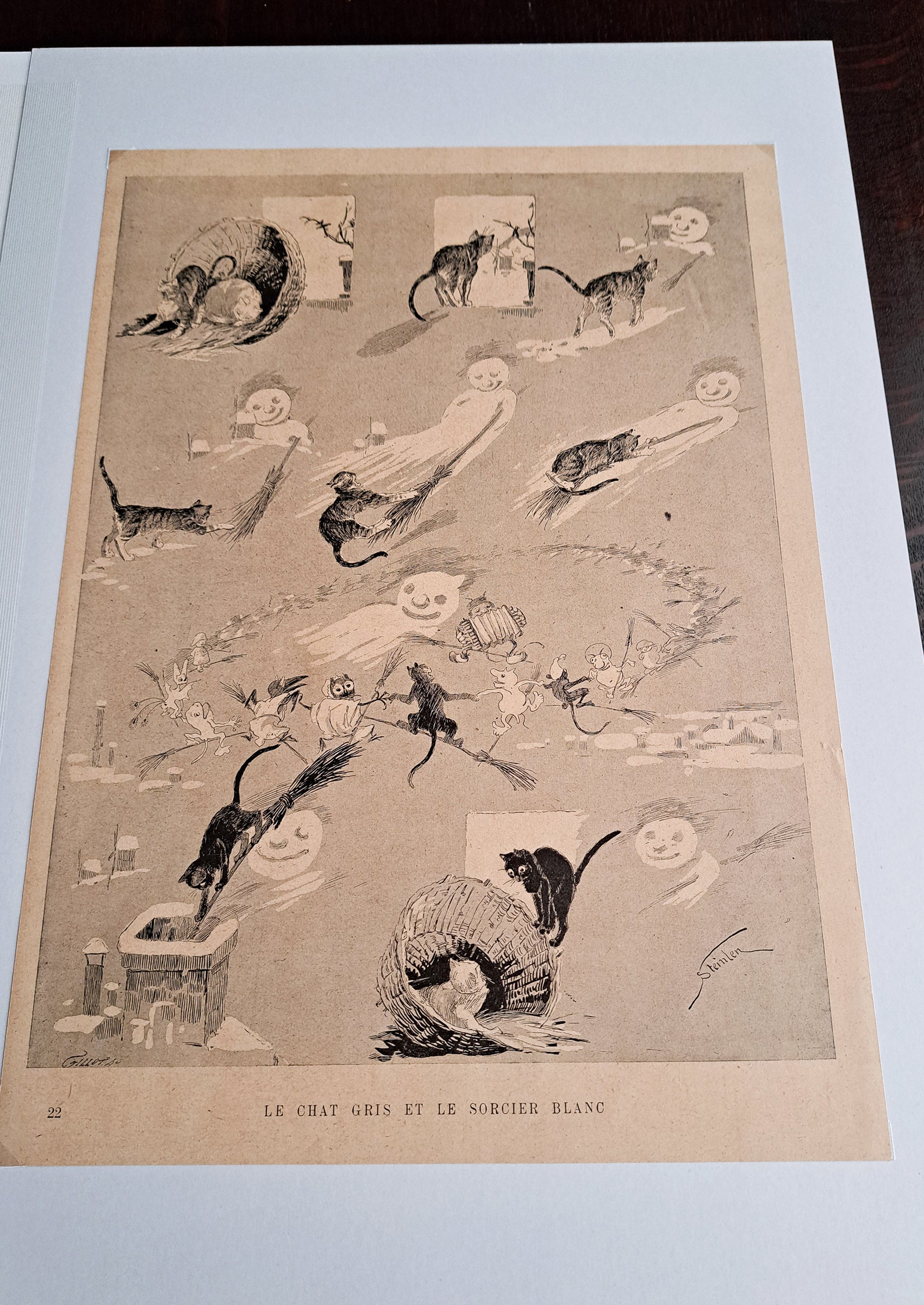 テオフィル・スタンラン ≪グレーの猫と白い魔術師≫ 1898年 『猫たち