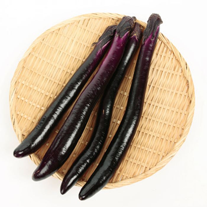 おうち野菜（R） 長ナス 夏豊作(R) 自根苗｜種（タネ）,球根,苗,資材