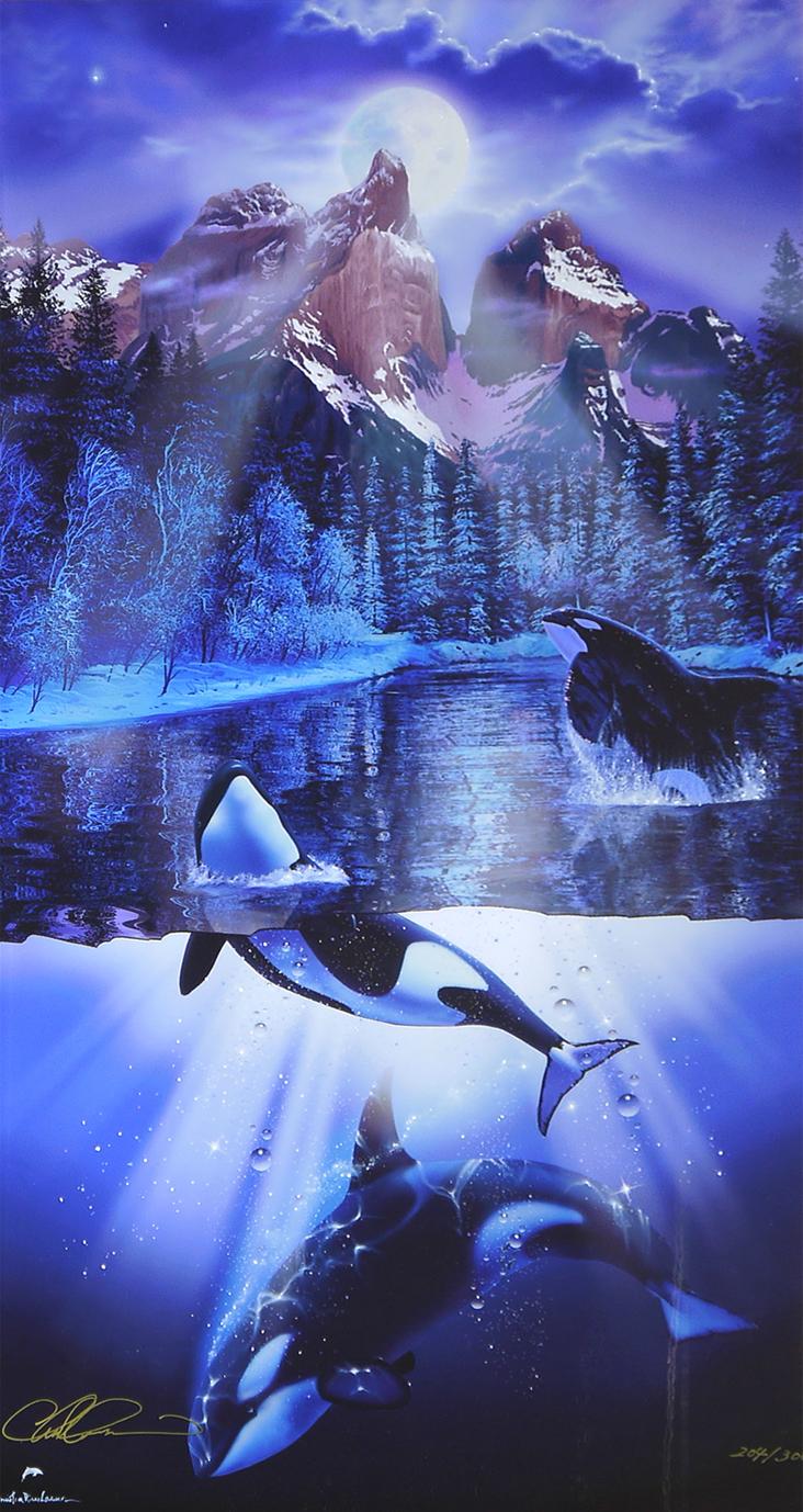 ラッセンのイルカのシンホニーラッセン ドルフィンシンフォニー Amazon