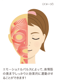 エイ エックス セブン ビーエム セラム ＆ エモーショナル プロ