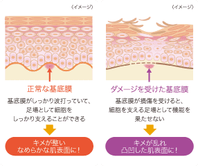 エイ エックス セブン ビーエム セラム ＆ エモーショナル プロ