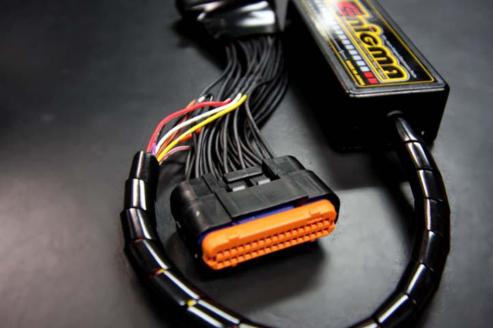 ENIGMA type RTF YAMAHA シグナスX（FI） カプラーオンモデル [EBD