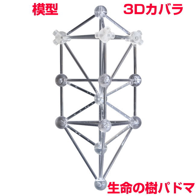 楽天市場】＼ポイント20倍／ユニカ 模型 3Dカバラ パドマ（ステンレス