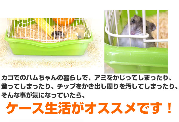 ジャンガリアンハムスター飼育セット ゆったり/飼育ケース 飼育ケージ