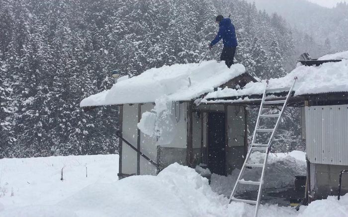 らくらく雪すべーる 2026年モデル 屋根 雪下ろし道具 6m 軽量 2.8kg