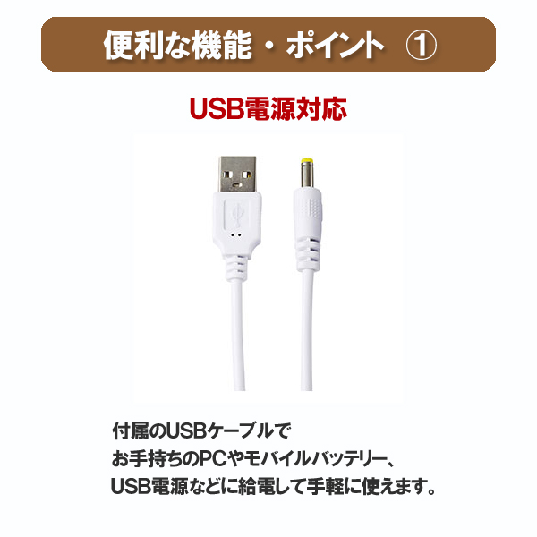 TOSHIBA（東芝） ポータブルCDプレーヤー USB 電源 語学 mp3対応