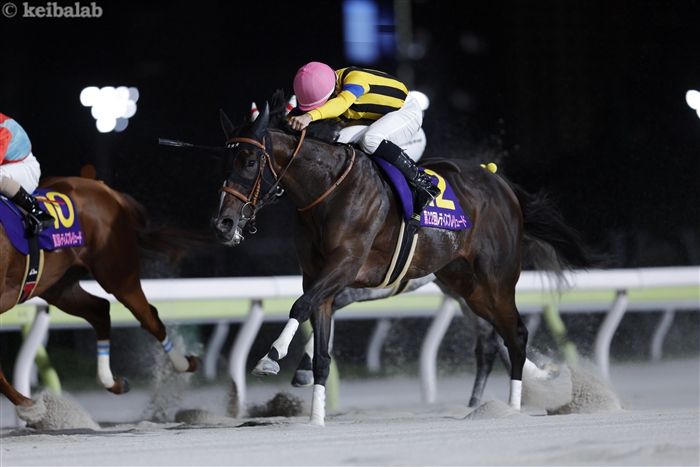 福島記念】令和のツインターボ登場！パンサラッサが超ハイペースで