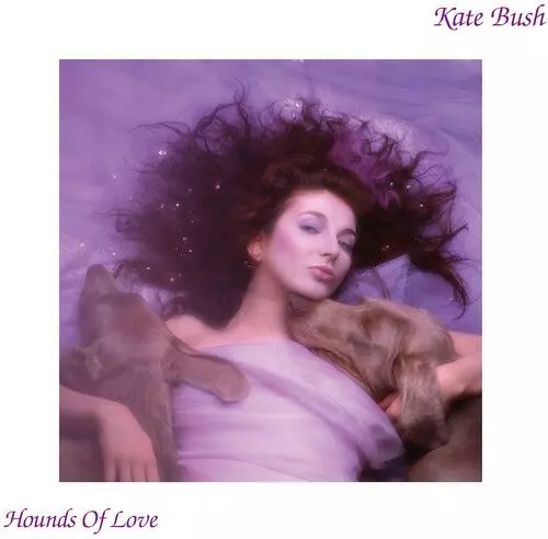 HOUNDS OF LOVE (2018 REMASTER CASSETTE TAPE)/KATE BUSH/ケイト