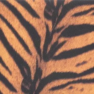 タイガーモービル/THE HIGH-LOWS/ザ・ハイロウズ｜日本のロック