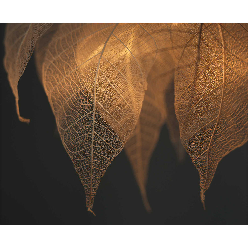 はいいろオオカミ＋花屋 西別府商店】森の小さな灯ⅱ 照明 はいいろ