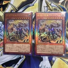 遊戯王 教導の雷霆フルルドリス レリーフ 2枚セット - メルカリ