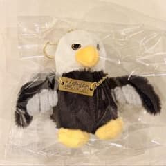 m36775718592_1.jpg?1760875328