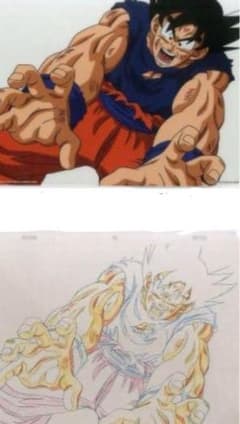 m67717864937_1.jpg?1717925438