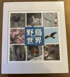 2026年最新】週刊 野鳥の世界の人気アイテム - メルカリ