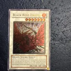 2026年最新】ブラックローズドラゴン 英語版の人気アイテム - メルカリ