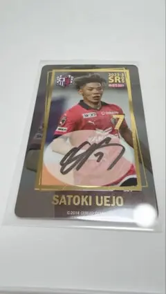 2026年最新】セレッソ オンサイトカードの人気アイテム - メルカリ