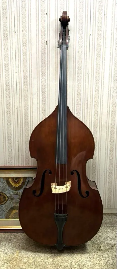 2026年最新】suzuki コントラバスの人気アイテム - メルカリ