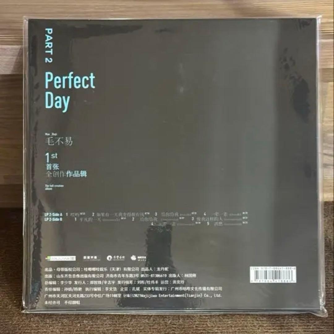 毛不易 平凡的一天 Perfect Day LP 2枚組 未開封