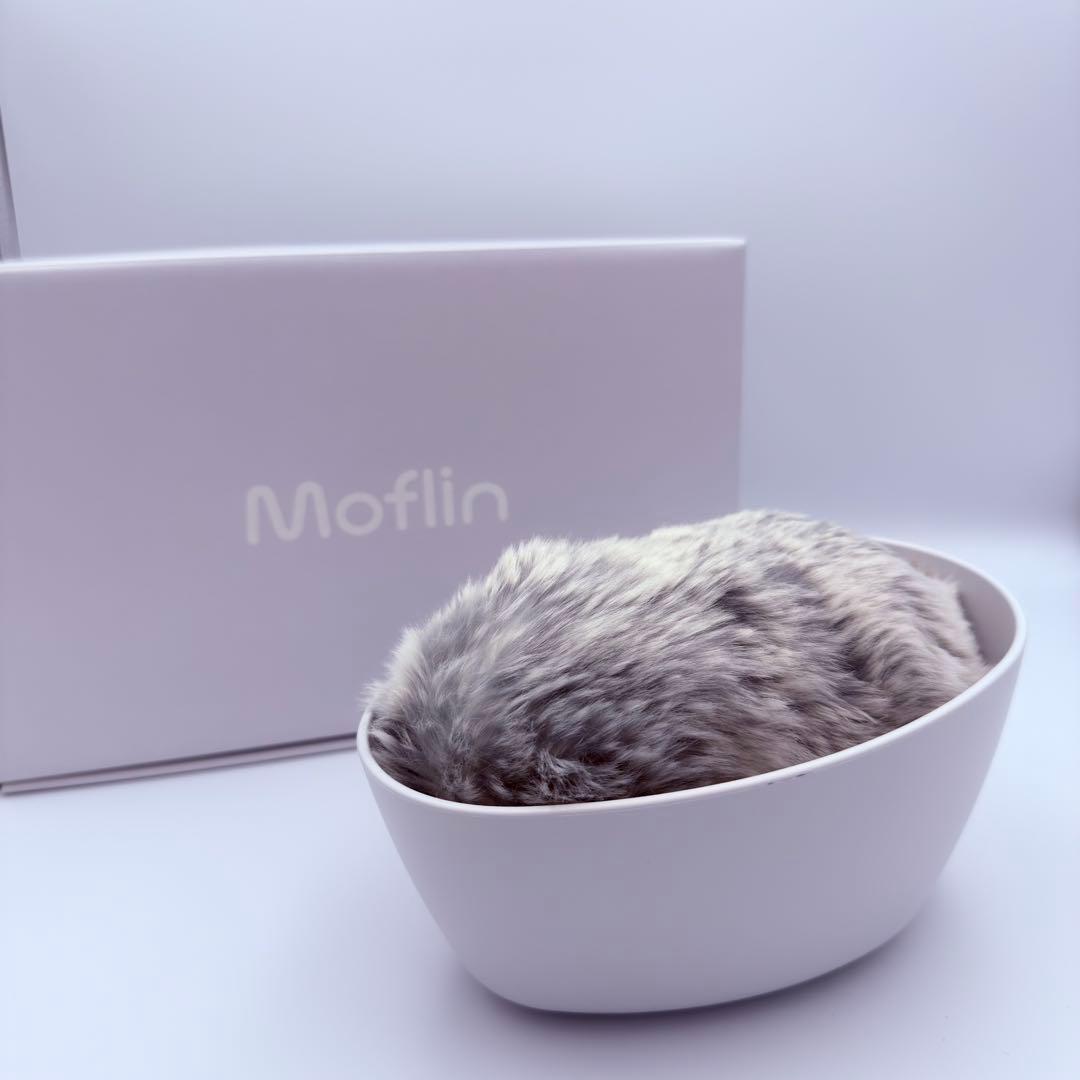 ⭐️未使用級⭐️カシオ モフリン シルバー AIペット