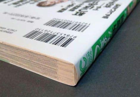 つぼみ斬魔剣　2冊セット　１巻帯付き　初版　2巻　初版　超レア単行本