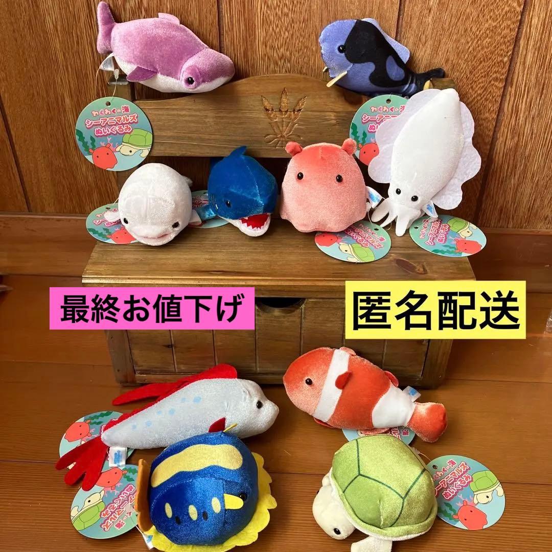 わくわくの海 シーアニマルズ ぬいぐるみ 8点 リュウグウノツカイ 白