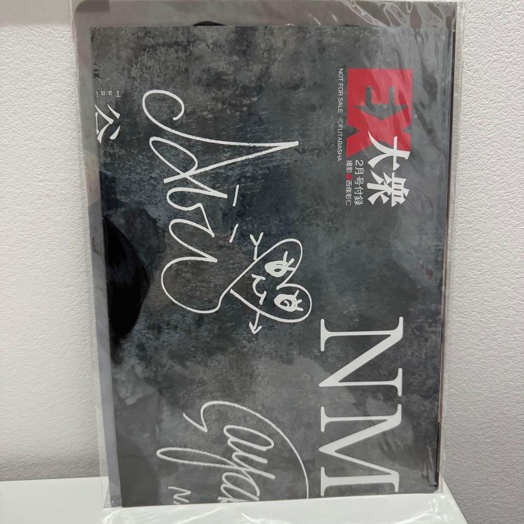 ✨未開封 非売品✨山本彩 NMB48 クリアファイル EX大衆 特別付録