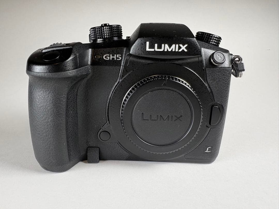 Panasonic LUMIX GH5 ミラーレス一眼 ボディ バリアングル液晶 LUMIX GH5 ミラーレス一眼カメラ ブラック DC-GH5-K [ボディ単体