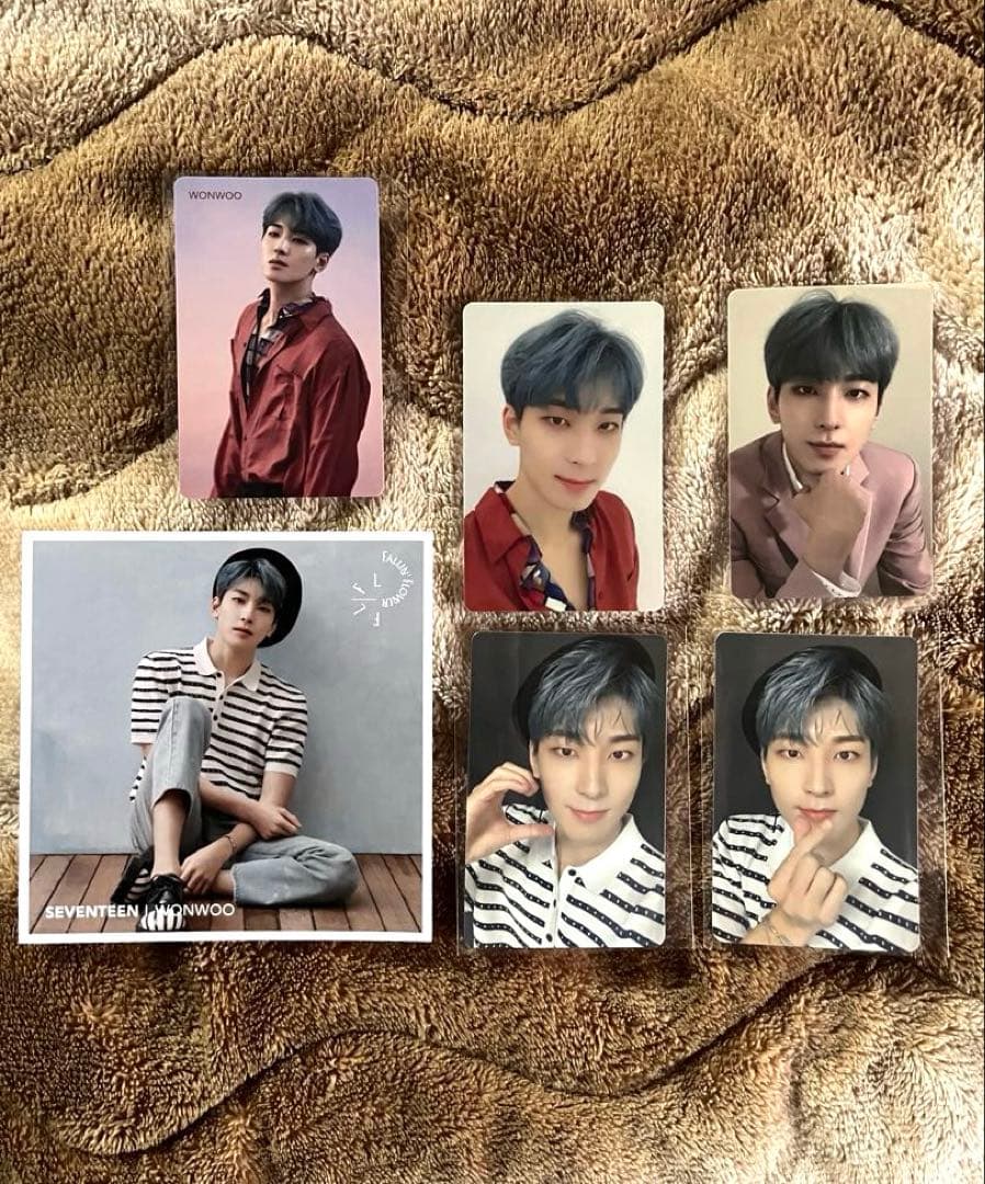 ウォヌ 舞い落ちる花びら HMV 特典 エントリーシート トレカ セット