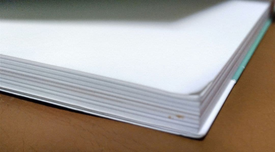 ◎グラマー裸婦ポーズBOOK Vol.②③　ワイレア出版