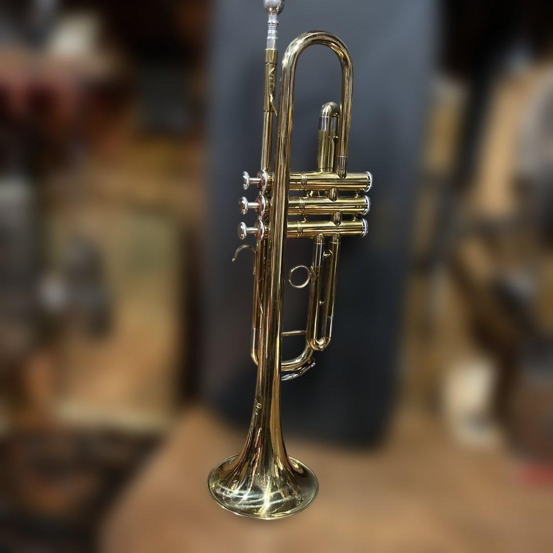 ヴィンテージ　トランペット　ハードケース付き PROTEC プロテック / IP-301TWL トランペット用 トリプル セミ ハード