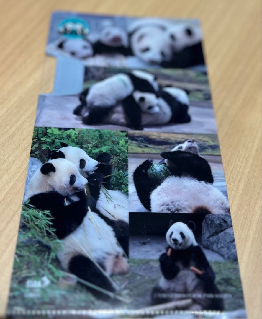 シャオシャオレイレイぬいぐるみセット（マルチケース付き） - メルカリ