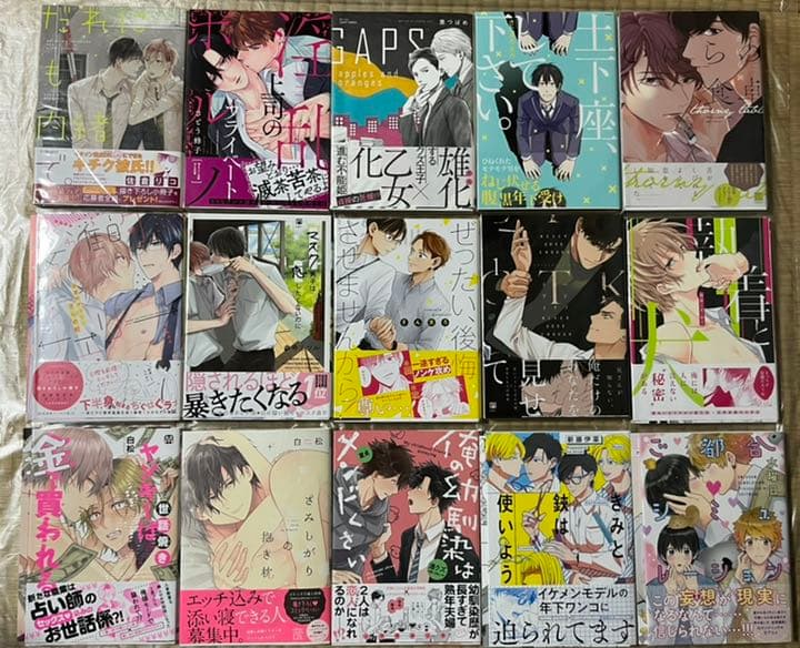 ⑥BL本まとめ売り　ボーイズラブコミックス　BOYS LOVE COMICS Boy's LOVE ( ボーイズラブ ) 2010年 02月号 [雑誌] |本 | 通販 | Amazon