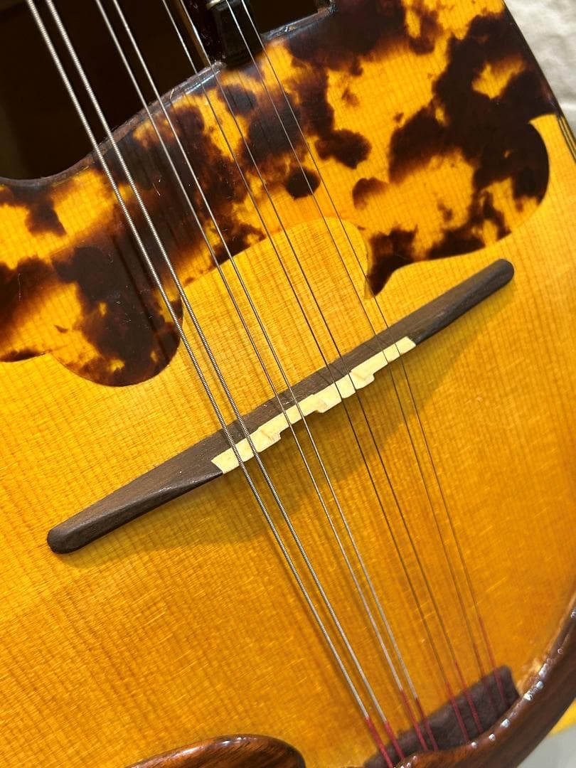 Rokutaro Nakade 中出六太郎 マンドリン A50 ANO 80 - メルカリ